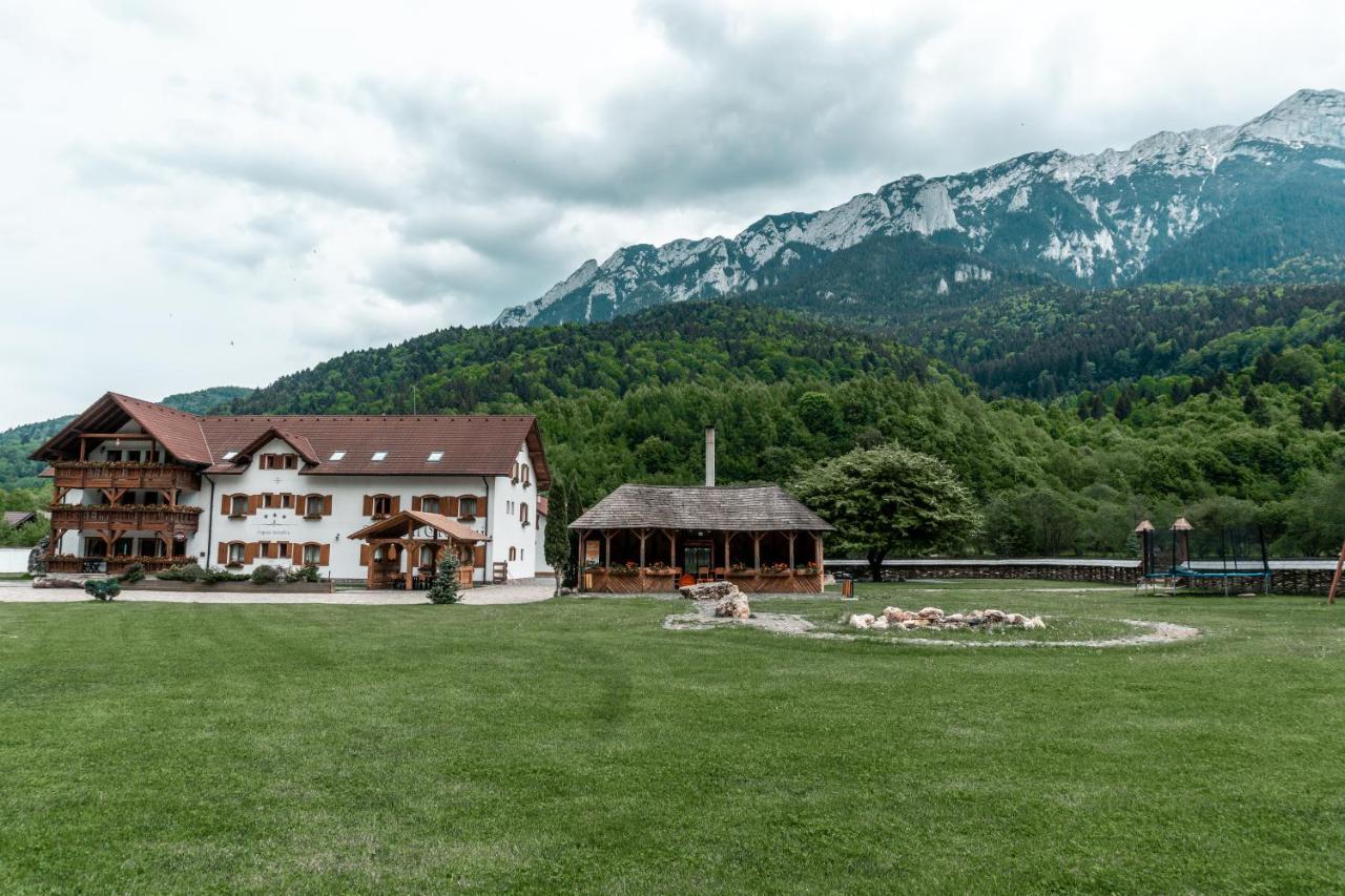 Popasul Craiului Villa Zarnesti Exterior photo